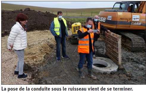 Vennezey - Des roseaux filtrants près du ruisseau